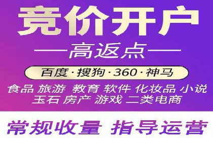某某SEM团队成功案例：广告投放策略揭秘